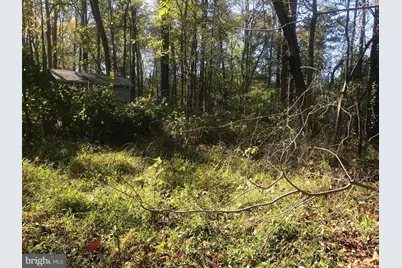 8305 Telegraph, Lorton, VA 22079 - Photo 3