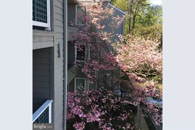 11703 Summerchase Circle, Reston, VA 20194 - Photo 13