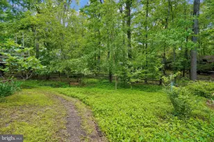10802 Dayflower Ct, Reston, VA 20191 - Photo 35