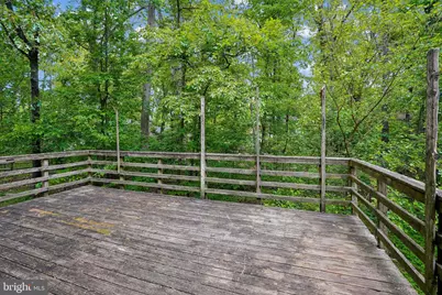 10802 Dayflower Court, Reston, VA 20191 - Photo 33