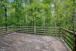 10802 Dayflower Ct, Reston, VA 20191 - Photo 33