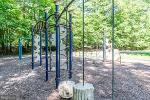 11917 Barrel Cooper Ct, Reston, VA 20191 - Photo 59