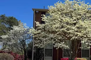 6129 Hyacinth Dr, Alexandria, VA 22310 - Photo 3