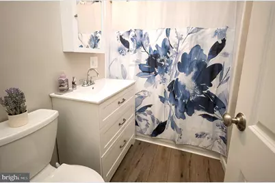 2420 Byrd Lane, Alexandria, VA 22303 - Photo 19
