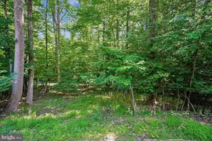 2331 Middle Creek Ln, Reston, VA 20191 - Photo 7