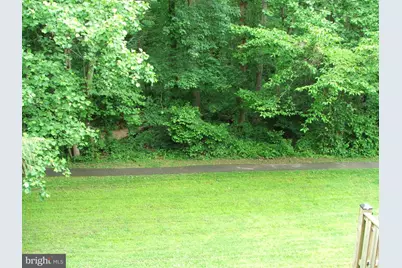 10210 Sassafras Woods Court, Burke, VA 22015 - Photo 5