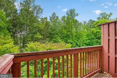 9063 Golden Sunset Lane, Springfield, VA 22153 - Photo 23
