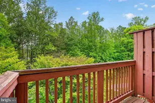 9063 Golden Sunset Ln, Springfield, VA 22153 - Photo 23