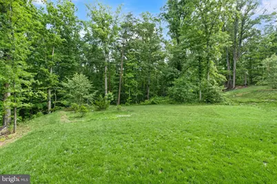 6468 Windham Avenue, Alexandria, VA 22315 - Photo 107