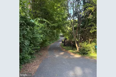 3502 Holly Road, Annandale, VA 22003 - Photo 57