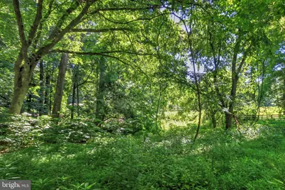 95 River Birch Drive, Great Falls, VA 22066 - Photo 3