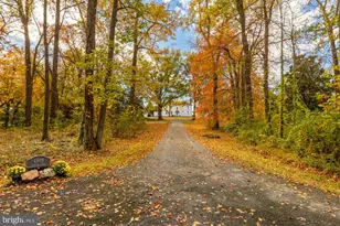 4509 Carlby Ln, Alexandria, VA 22309 - Photo 7