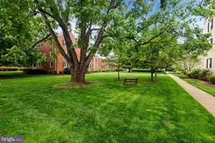 6513 Potomac Ave, Alexandria, VA 22307 - Photo 31