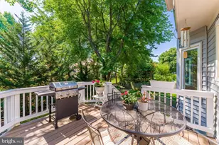 13456 Cobra Ct, Herndon, VA 20171 - Photo 65