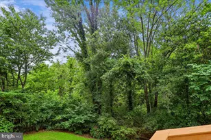 13159 Ladybank Ln, Herndon, VA 20171 - Photo 53
