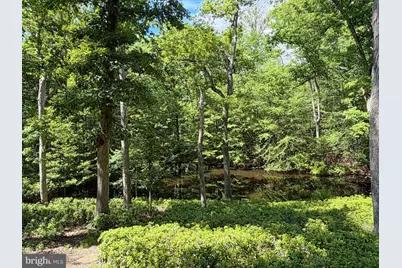 10611 Allenwood Lane, Great Falls, VA 22066 - Photo 47