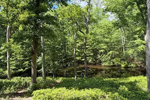 10611 Allenwood Ln, Great Falls, VA 22066 - Photo 47