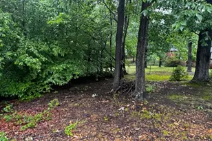 7041 Cindy Ln, Annandale, VA 22003 - Photo 7