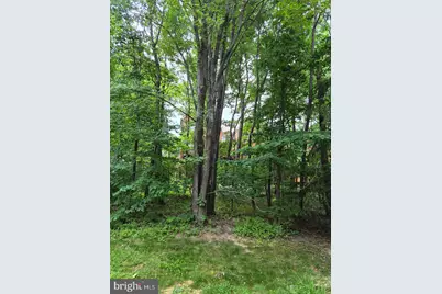 1303 Park Garden Lane, Reston, VA 20194 - Photo 17