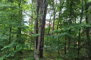 1303 Park Garden Ln, Reston, VA 20194 - Photo 17