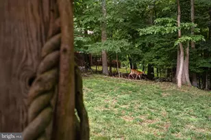 2303 Middle Creek Ln, Reston, VA 20191 - Photo 47