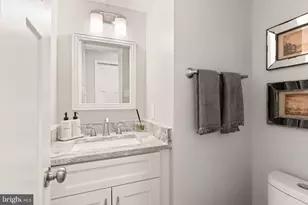 4517 Waverly Crossing Ln, Chantilly, VA 20151 - Photo 19