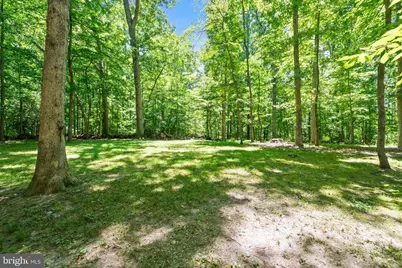 11609 Sourwood Lane, Reston, VA 20191 - Photo 63