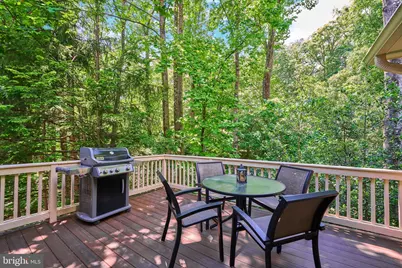 1402 Hemingway Court, Reston, VA 20194 - Photo 49