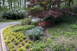 700 Belgrove Rd, McLean, VA 22101 - Photo 79