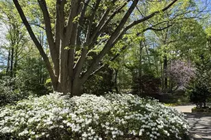 700 Belgrove Rd, McLean, VA 22101 - Photo 75