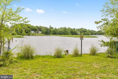 3123 Woodland Lane, Alexandria, VA 22309 - Photo 65