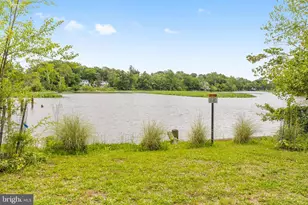 3123 Woodland Ln, Alexandria, VA 22309 - Photo 65