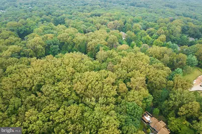 9113 Jeffery Road, Great Falls, VA 22066 - Photo 9