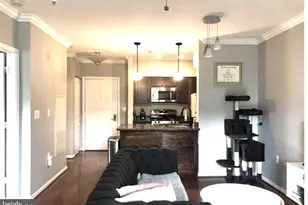 12915 Alton Square, Herndon, VA 20170 - Photo 3