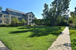 6607 Potomac Ave, Alexandria, VA 22307 - Photo 43