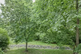 14321 Climbing Rose Way, Centreville, VA 20121 - Photo 45