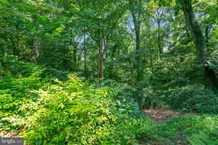 1715 Hollinwood Dr, Alexandria, VA 22307 - Photo 57