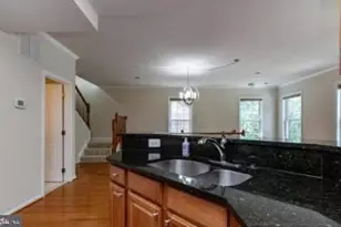 4647 Red Admiral Way, Fairfax, VA 22033 - Photo 37