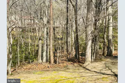 7265 Kousa Lane, Springfield, VA 22152 - Photo 39