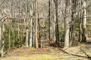 7265 Kousa Ln, Springfield, VA 22152 - Photo 39