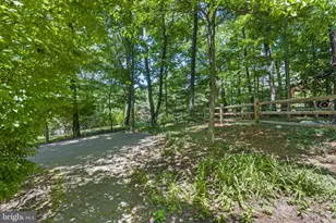 11019 Ring Rd, Reston, VA 20190 - Photo 71