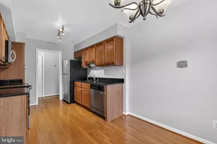 3334 Spring Ln, Falls Church, VA 22041 - Photo 5