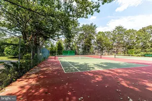 3100 S Manchester St, Falls Church, VA 22044 - Photo 13