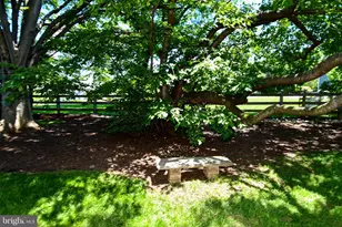11061 Tottenham Ln, Reston, VA 20194 - Photo 83