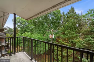 3334 Spring Ln, Falls Church, VA 22041 - Photo 5