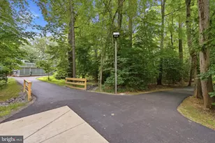 11533 Pine Cone Ct, Reston, VA 20191 - Photo 39