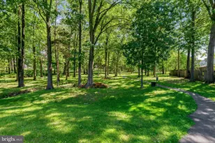 2124 Mager Dr, Herndon, VA 20170 - Photo 37