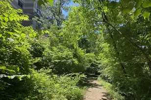 8340 Greensboro Dr, McLean, VA 22102 - Photo 63