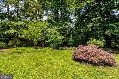3236 Woodland Lane, Alexandria, VA 22309 - Photo 57