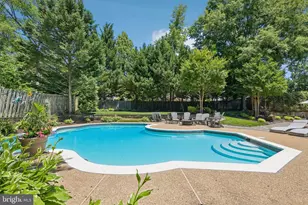 7004 Green Spring Ln, Alexandria, VA 22306 - Photo 81